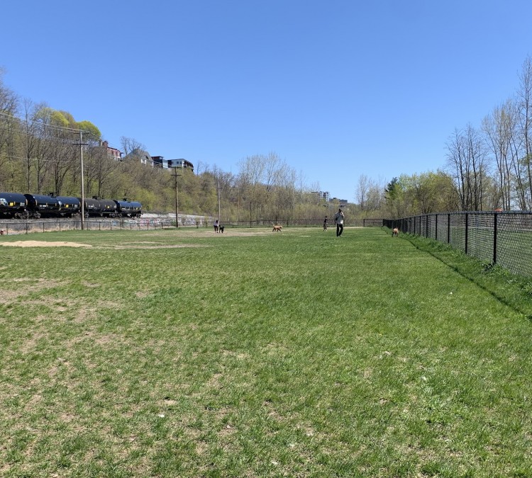 north-waterfront-park-and-dog-park-photo